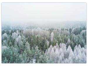 Obraz - Zasněžené vrcholky lesů (70x50 cm)