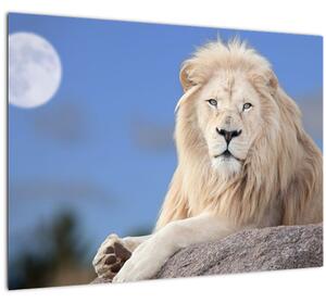 Skleněný obraz - Bílý lev (70x50 cm)
