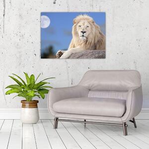 Obraz - Bílý lev (70x50 cm)