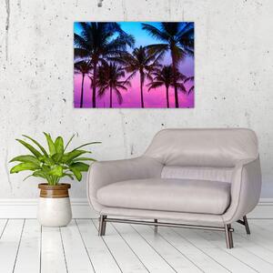 Obraz - Palmy v Miami (70x50 cm)
