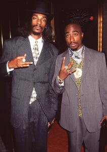 Plakát, Obraz - Snoop Dogg & Tupac - Suits, (59.4 x 84.1 cm)