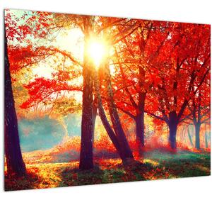 Skleněný obraz - Podzimní krajina (70x50 cm)