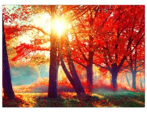 Obraz - Podzimní krajina (70x50 cm)