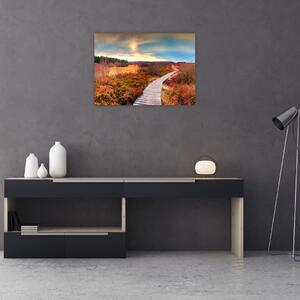 Obraz - Podzimní cesta krajinou (70x50 cm)