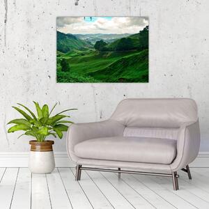 Skleněný obraz - Čajové plantáže v Malajsii (70x50 cm)