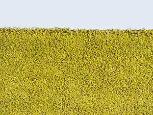 MONO Kusový koberec Efor Shaggy 1903 Green BARVA: Zelená, ROZMĚR: 80x150 cm
