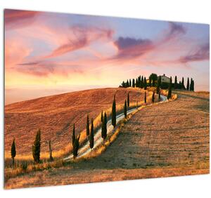 Obraz - Dům na kopci, Toskánsko, Itálie (70x50 cm)