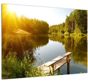 Obraz - Jezero u lesa (70x50 cm)