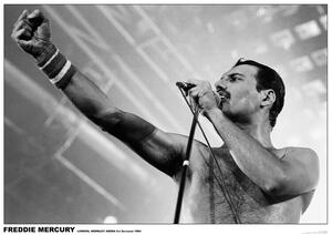 Plakát, Obraz - Freddie Mercury - Wembley 1984, (84.1 x 59.4 cm)