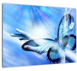 Obraz - Motýl, symbol naděje (70x50 cm)