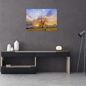 Obraz - Krajina se Slunečnicemi (70x50 cm)