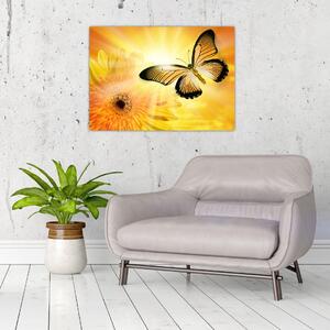 Obraz - Žlutý motýl s květem (70x50 cm)
