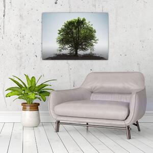 Obraz - Osamocený strom (70x50 cm)