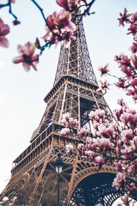 Plakát, Obraz - Paříž - Eiffel Tower, (61 x 91.5 cm)
