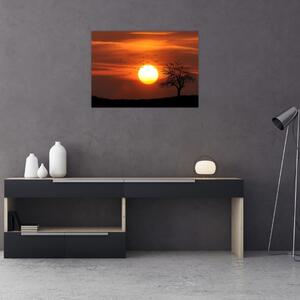 Obraz - Západ slunce (70x50 cm)
