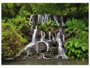Obraz vodopádů v tropickém lese (70x50 cm)