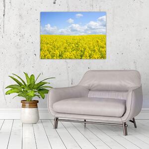 Obraz žlutého pole (70x50 cm)