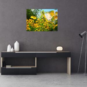Obraz žlutých květin (70x50 cm)