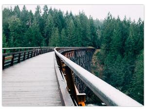 Obraz - Most k vrcholkům stromů (70x50 cm)