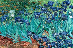 Plakát, Obraz - Vincent van Gogh - Les Irises, (91.5 x 61 cm)