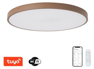 Brilagi-LED Stm svítidlo POOL SMART LED/100W/230V 80 cm Wi-Fi Tuya+DO hnědá