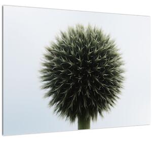 Obraz květinové koule (70x50 cm)