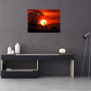 Obraz - Siluety zvířat při západu slunce (70x50 cm)