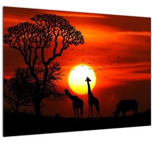 Obraz - Siluety zvířat při západu slunce (70x50 cm)