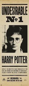 Plakát, Obraz - Harry Potter - Undersirable no. 1, (53 x 158 cm)