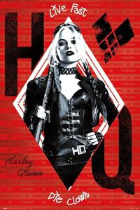 Plakát, Obraz - The Suicide Squad - Harley Quinn