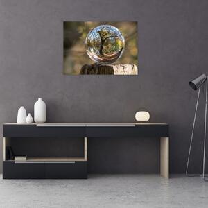 Obraz - Odraz ve skleněné kouli (70x50 cm)