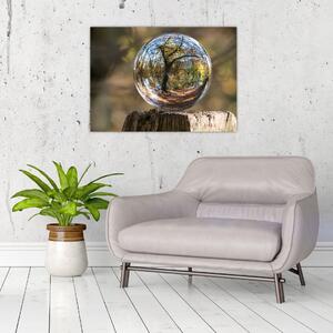 Obraz - Odraz ve skleněné kouli (70x50 cm)