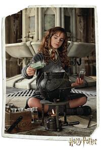 Umělecký tisk Harry Potter - Hermione Granger, (26.7 x 40 cm)