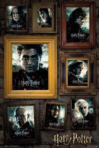Plakát, Obraz - Harry Potter - Portrait, (61 x 91.5 cm)