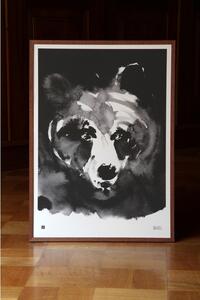 Teemu Järvi Plakát Mysterious Bear 50x70