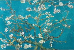 Plakát, Obraz - Vincent van Gogh - Květoucí větve mandlovníku, (91.5 x 61 cm)