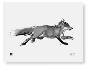 Teemu Järvi Plakát Adventurous Fox 40x30
