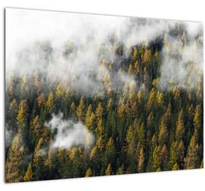 Skleněný obraz lesa v mracích (70x50 cm)