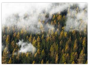 Obraz lesa v mracích (70x50 cm)
