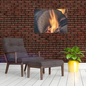 Obraz hořícího dřeva (70x50 cm)