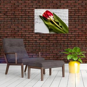 Obraz červeného tulipánu (70x50 cm)