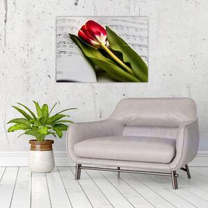 Obraz červeného tulipánu (70x50 cm)