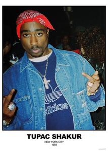 Plakát, Obraz - Tupac Shakur - N.Y.C 1993