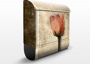 Poštovní schránka s potiskem Retro růže