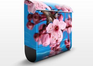 Poštovní schránka s potiskem Kvetoucí třešně