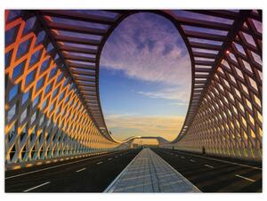 Obraz moderní architektury mostu (70x50 cm)
