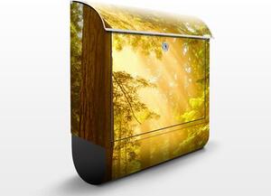 Poštovní schránka s potiskem Okouzující ráno v lese