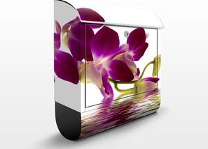 Poštovní schránka s potiskem Pink Orchid Waters