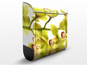 Poštovní schránka s potiskem Splendid Orchid Waters