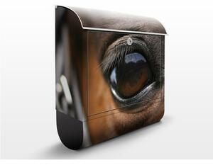 Poštovní schránka s potiskem Koňské oko